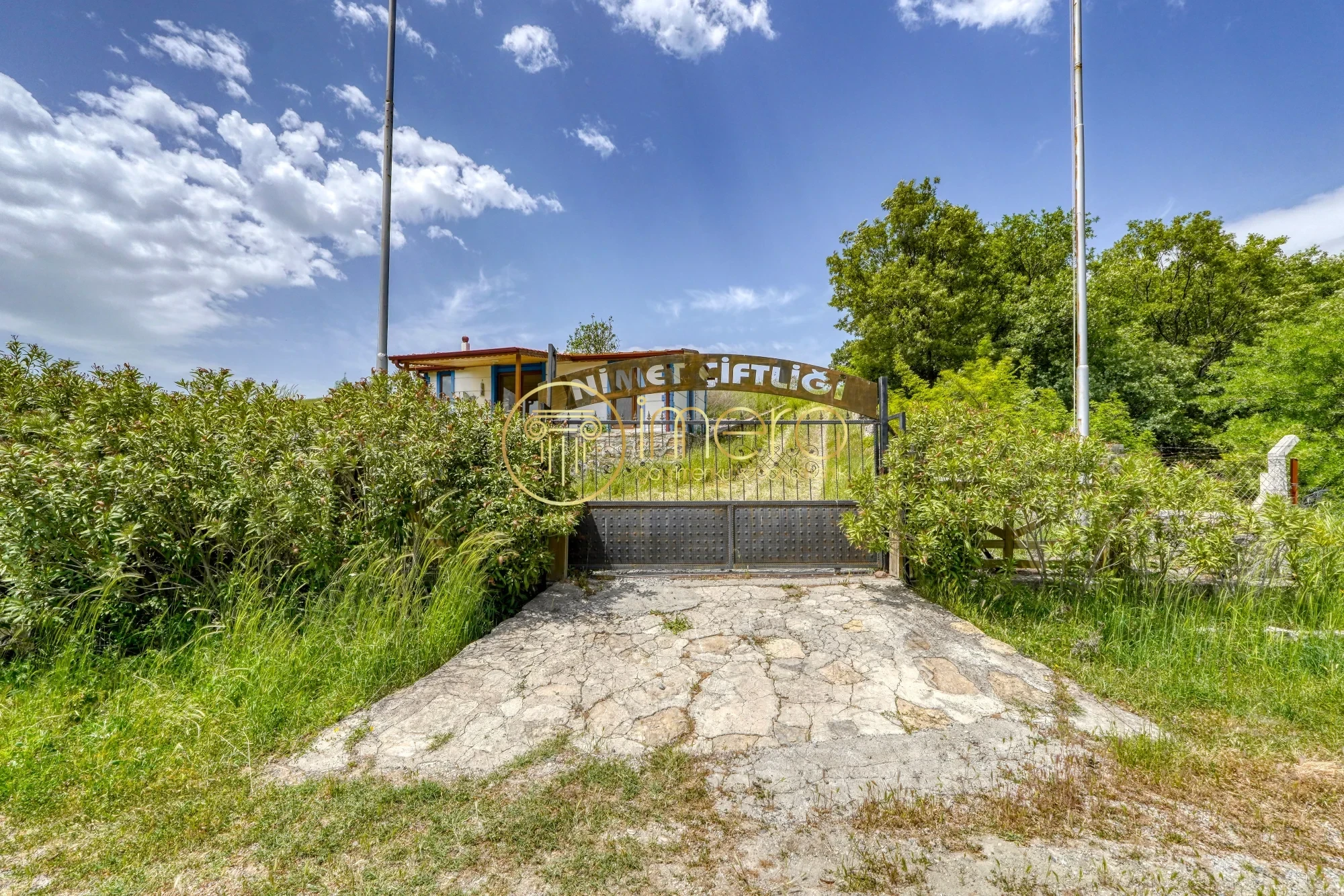 BERGAMA KIRCALAR 'DA 130 DÖNÜM , 2000 ZEYTİN AĞAÇLI  ÇİFTLİK ARAZİSİ 