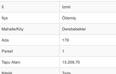 İZMİR ÖDEMİŞ’ TE LÜBBEY KÖYÜ YOLU ÜZERİ ÇİFTLİK ARAZİSİ