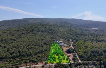 URLA ÖZBEK’TE MUHTEŞEM LOKASYONDA YATIRIMLIK ARAZİ